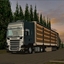 gts Wielton met pallets www... -  ETS & GTS