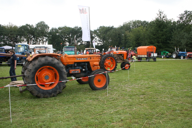 IMG 2992 altweerterheide