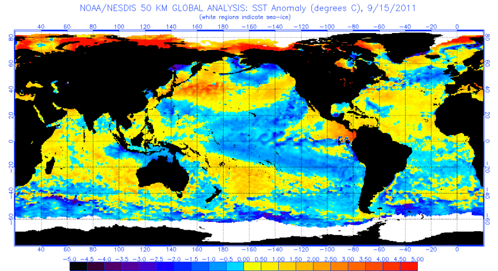 anomnight.9.15.2011 - 