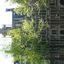 P1060560 - amsterdam2008