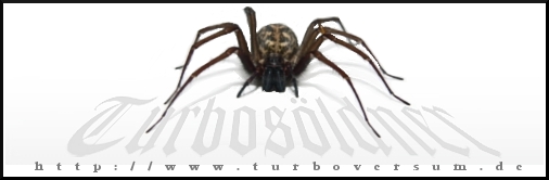 turbobannerSpinne2 - 