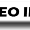 VIDEO INFO - logo