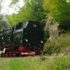 T02935 997235 Drahtzug - 20110912 Harz