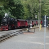 T02949 997245 Eisfelder Tal... - 20110912 Harz