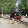 T02956 997245 Eisfelder Tal... - 20110912 Harz