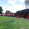 T02963 997235 Gernrode - 20110913 Harz