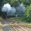 T03036 997240 Eisfelder Tal... - 20110916 Harz