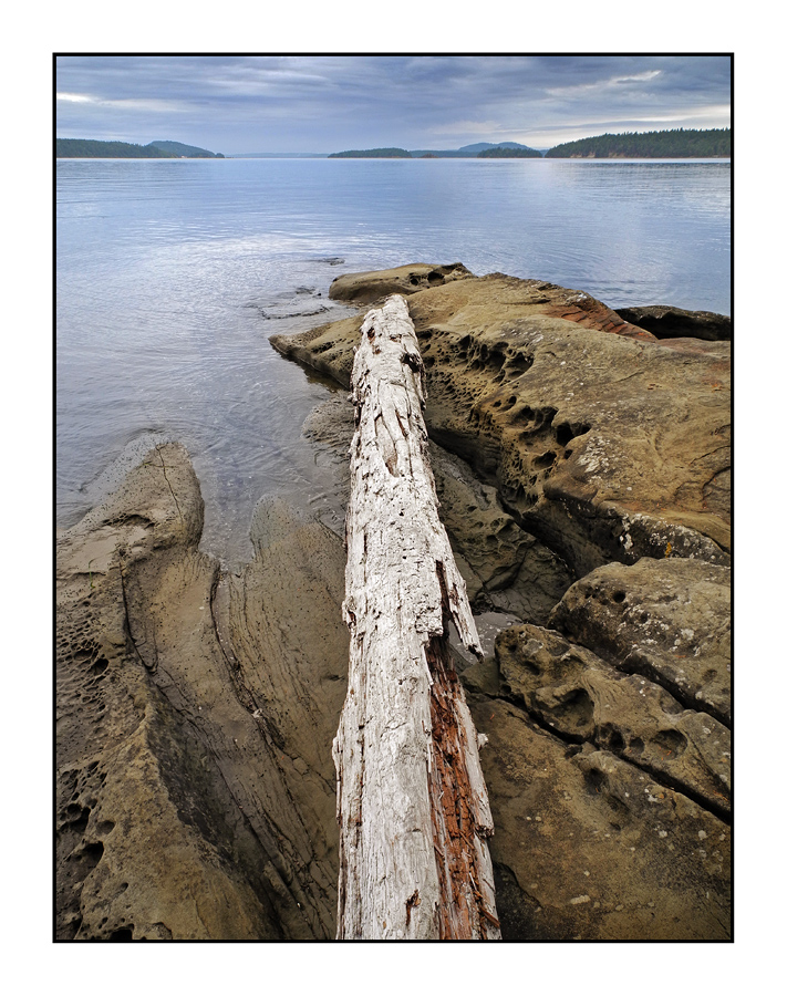 SaltSpring Arbutus Point 4 Landscapes