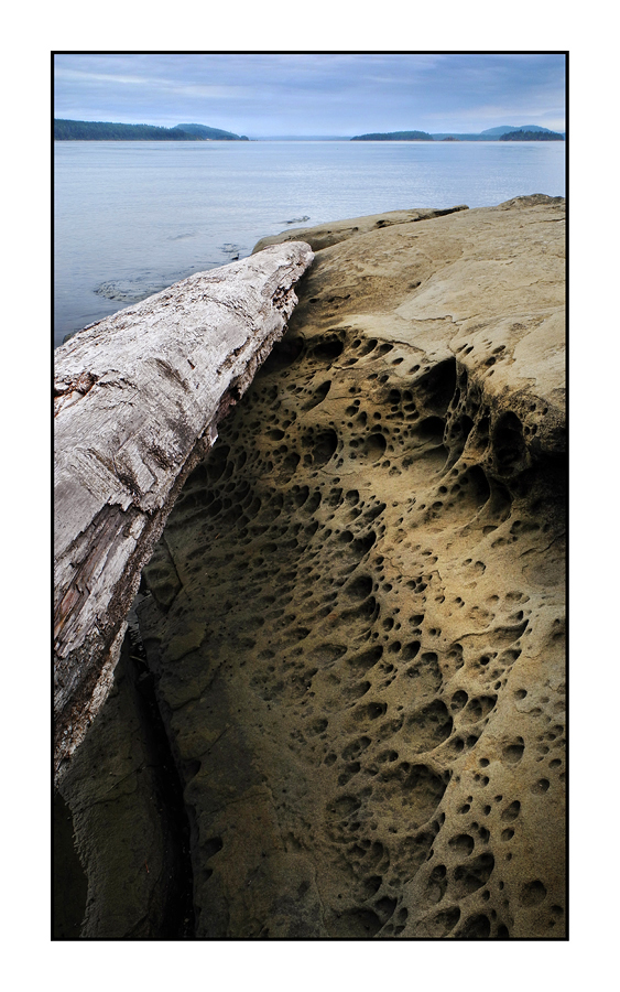 SaltSpring Arbutus Point 2 Landscapes