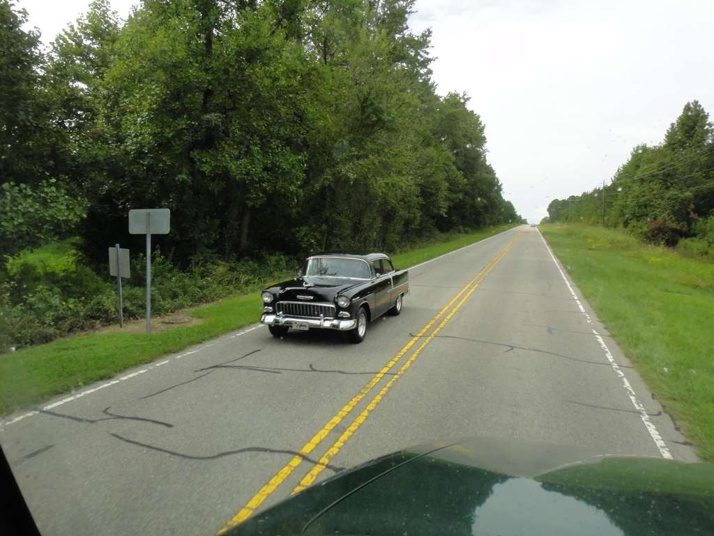 DSC03533 - 2011 october