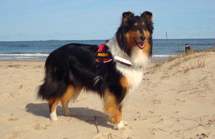 a m rz-april09 026 - 