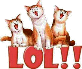 cats - 