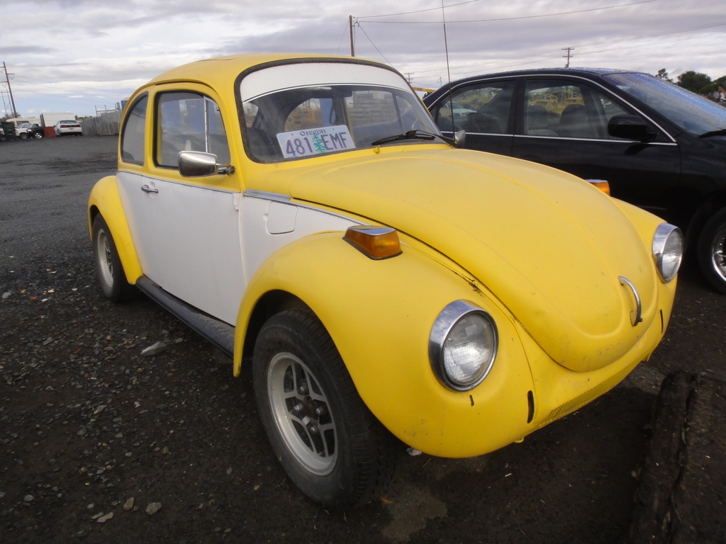 DSC04268 - 2011 october