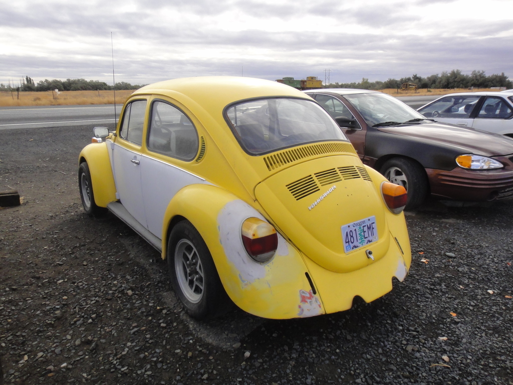 DSC04266 - 2011 october