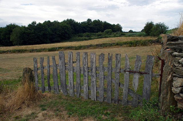 IMGP3645r Camino de Santiago