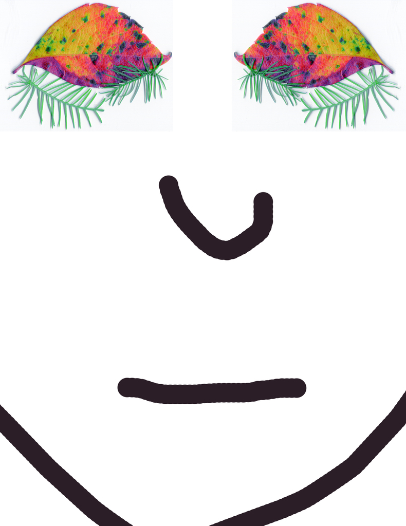 fishhead face Picture Box