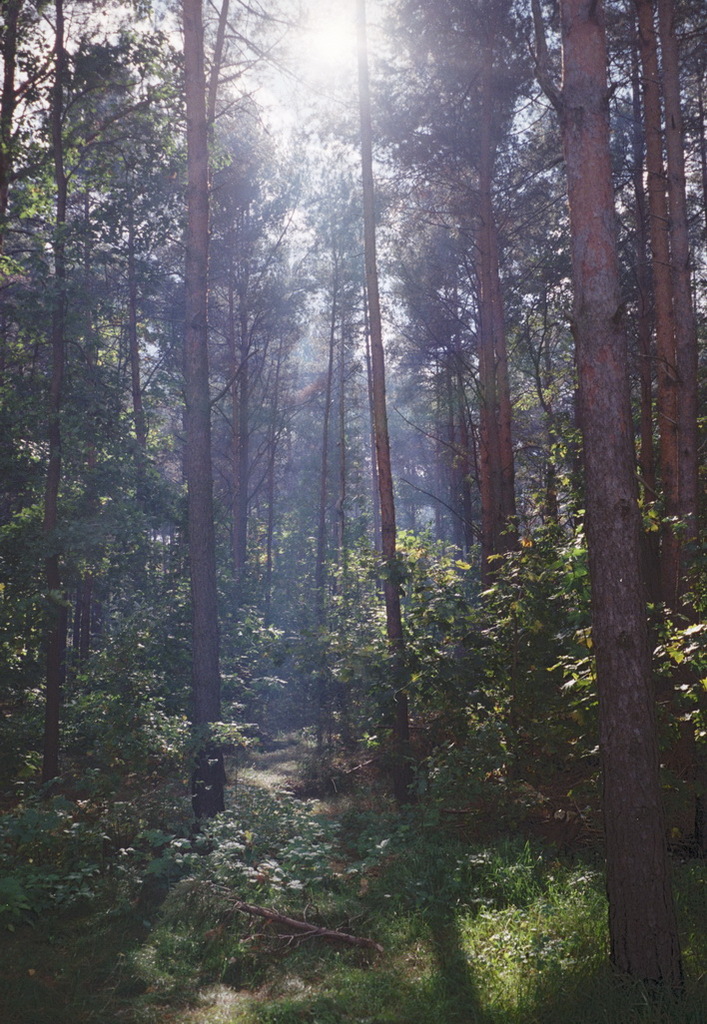 s200 mjuIII (12) resize - 