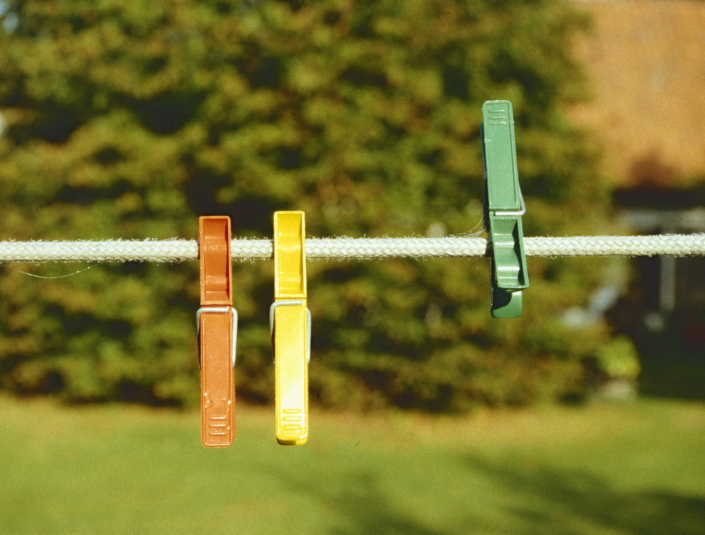 Whole Frame 3 (11) resize - 