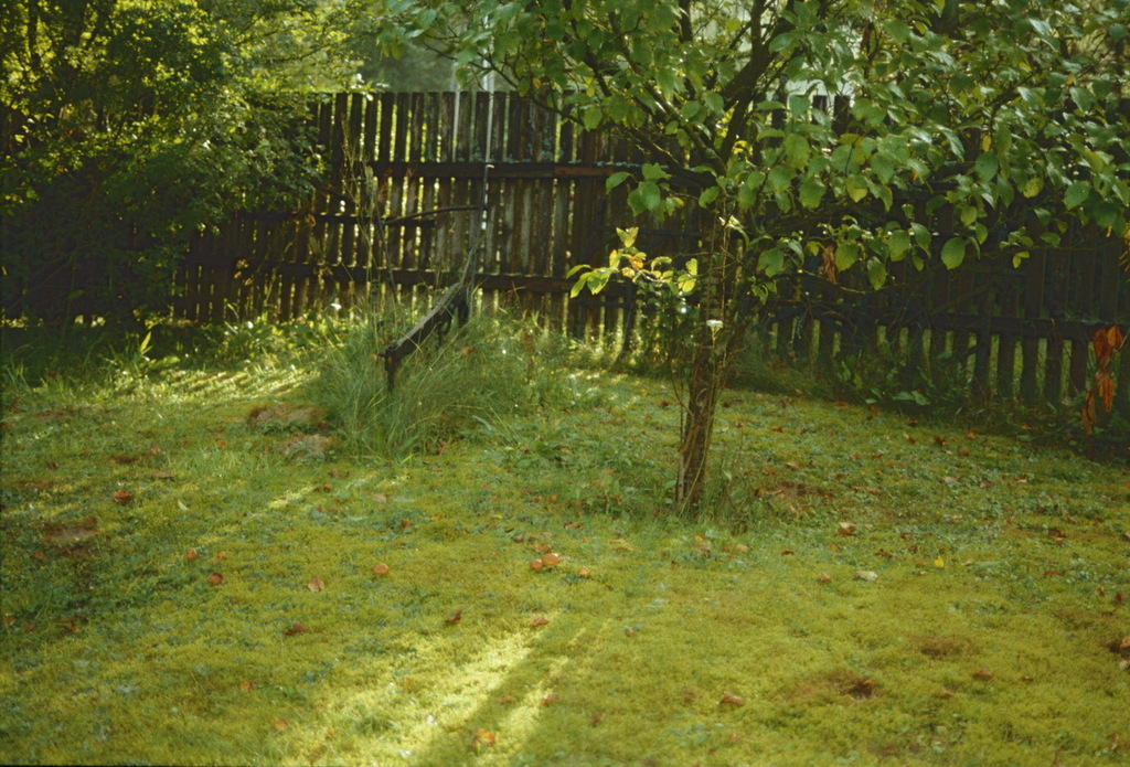 Whole Frame 3 (13) resize - 