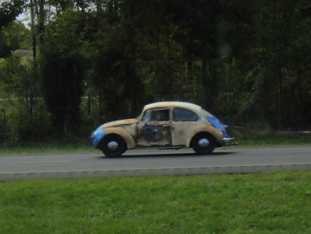 DSC05288 - 2011 october