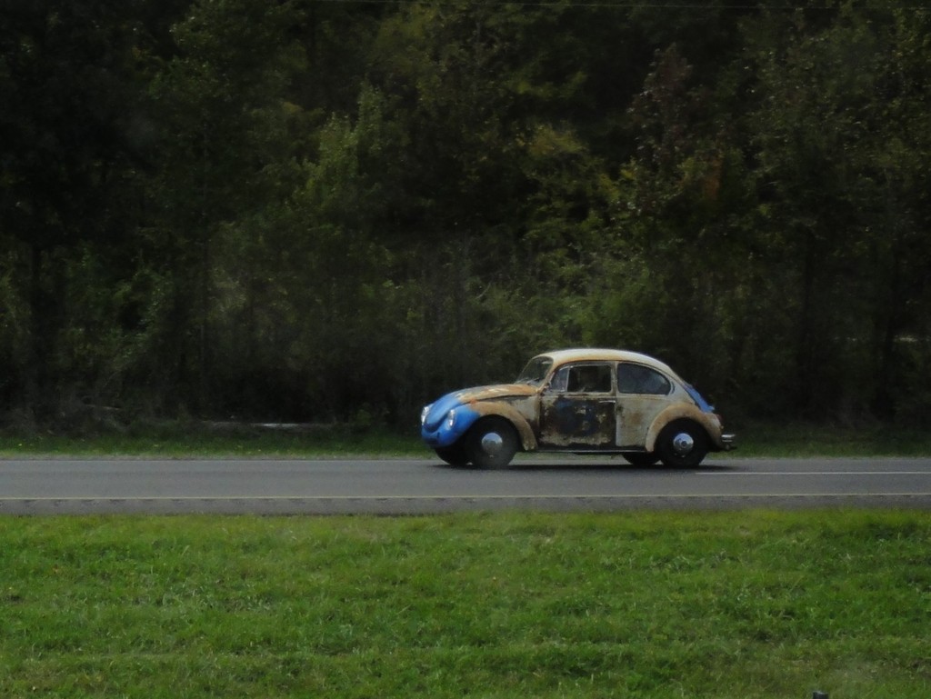 DSC05287 - 2011 october