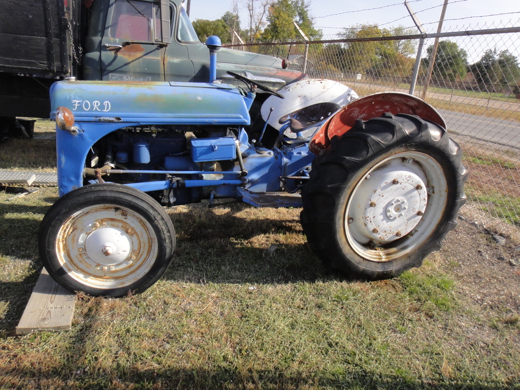 DSC06267 - 2011 october