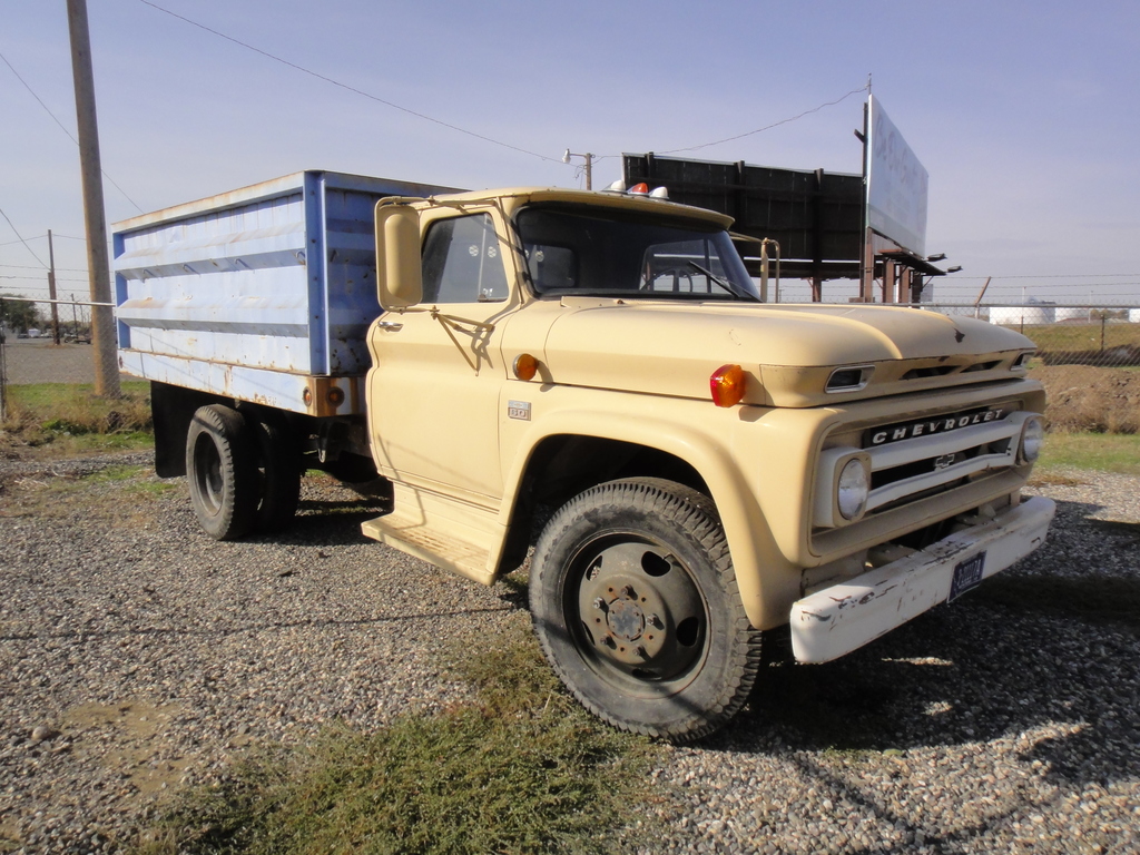 DSC06262 - 2011 october