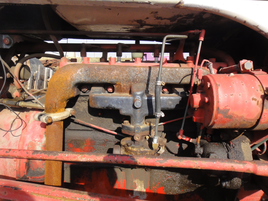 DSC06258 - 2011 october