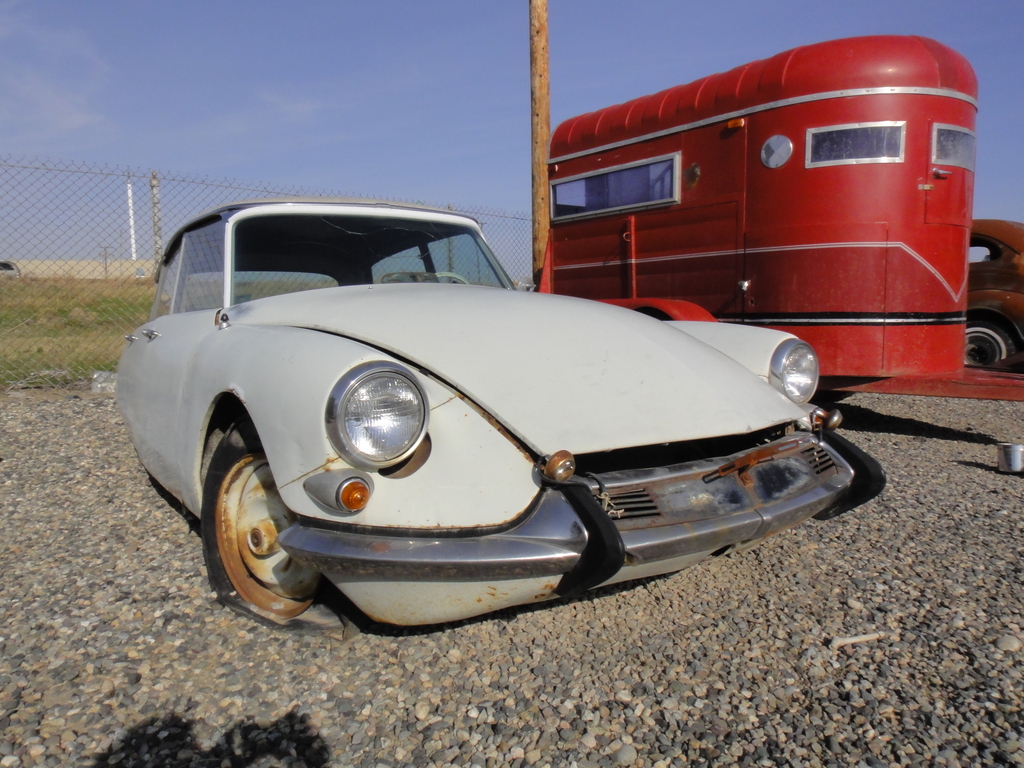 DSC06229 - 2011 october