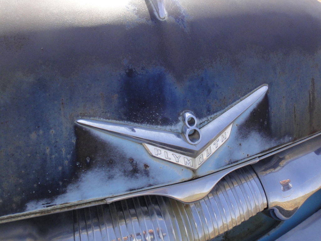 DSC06222 - 2011 october