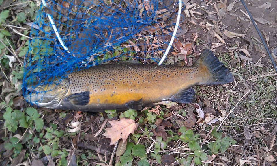 376631 10150444326931405 543506404 10877302 320287 - 