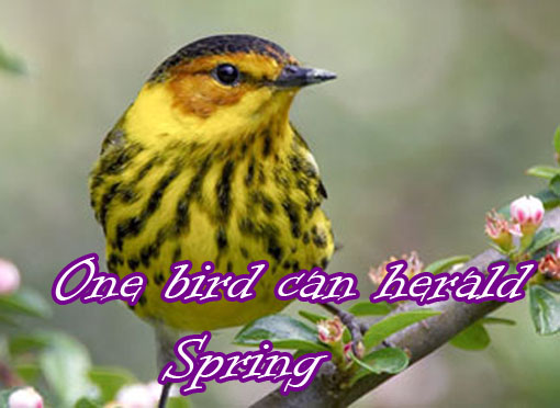 sZsi9XwLEo6W6WB4SYd4LoN0BaB0QbdCOYNiSXR0KYduMacnEb - 