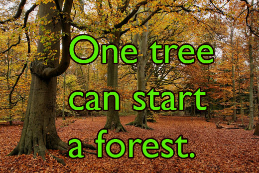 sZsi9XwLEo7OGbdWOXB4Ibd4OWNvFb70Go7aKYteAWt0BagTEm - 