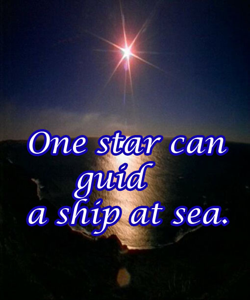 41 Shining Star copy - 