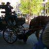 P1060496 - amsterdamschoon