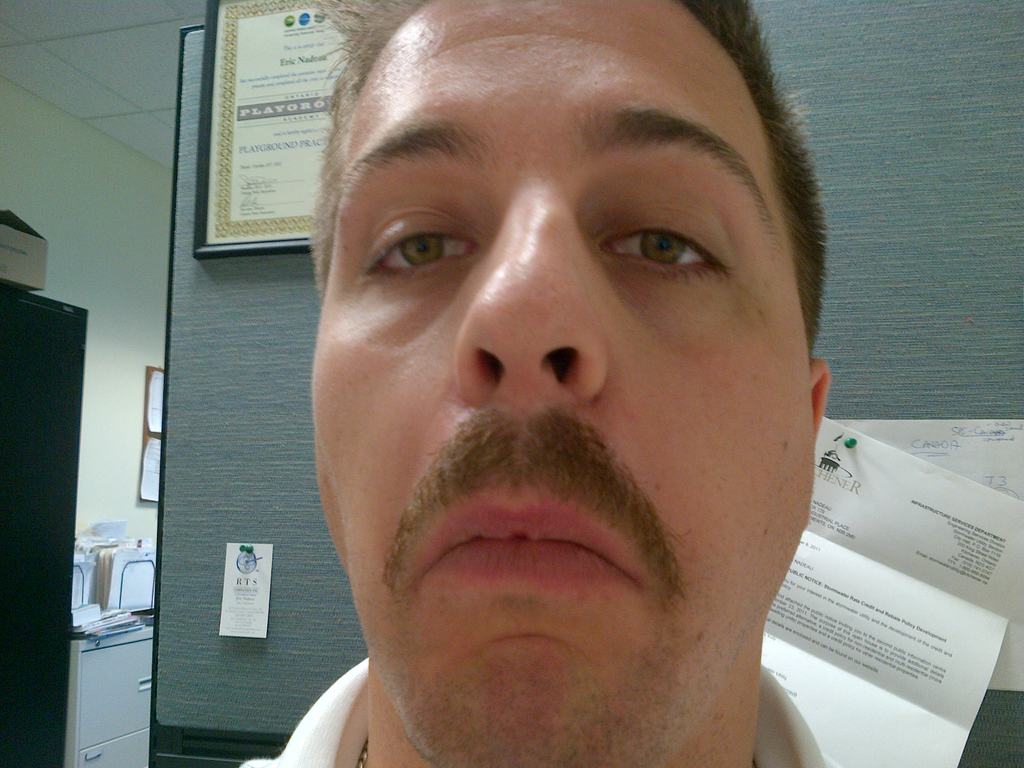 Wellesley-20111115-00054 - 