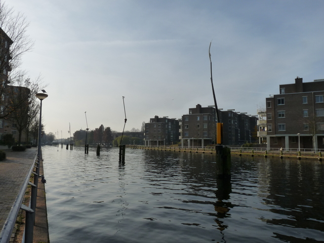 19 november 2011 015 amsterdam