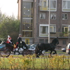 RenÃ© Vriezen 2011-11-19#0611 - Sinterklaas en Pieten Presi...