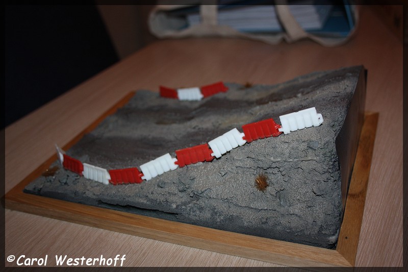 IMG 3383-BorderMaker - 