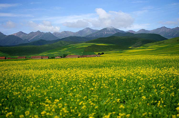 214691-Paradise-Valley-in-Tibet-11 - 