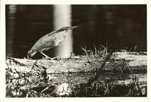 Image Hosted by PicturePush - Photo Sharing