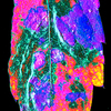 new wing from RAW color inv... - Picture Box