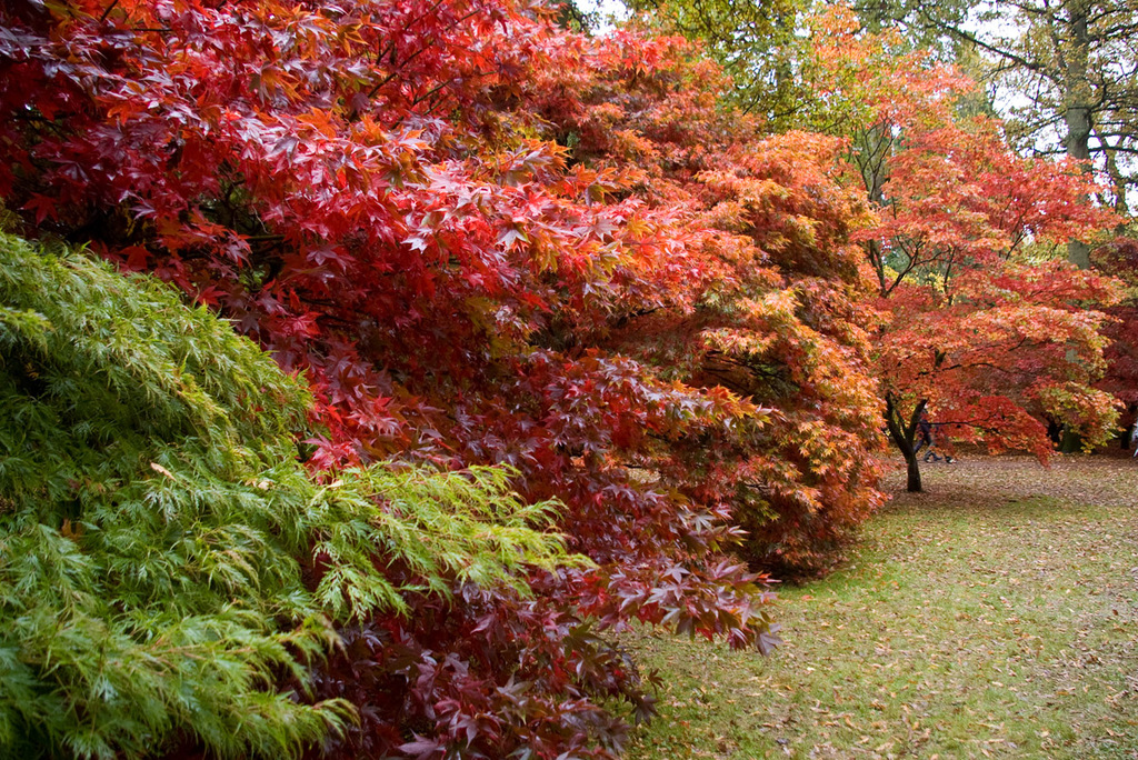 sZsi9XwLEo6m9bciKbB4Dbd4EXNuGZd1Fb70Go6yLY6iEXB0EX - 