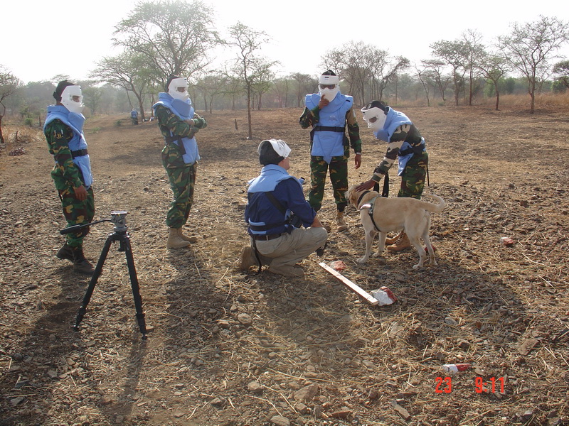 International Reporter visiting Rajaf Minefield - 