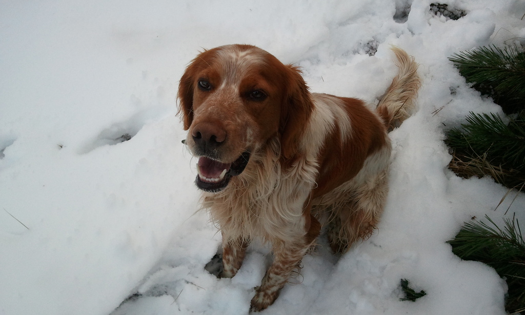 2012-01-04 15.42.45 - 