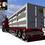 gts Mulden Trailer ets - gt... - GTS TRAILERS