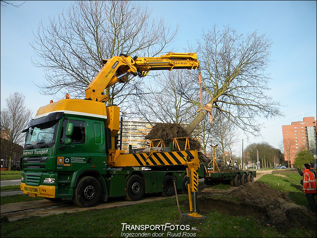 boerman 4 as-TF Ingezonden foto's 2012