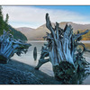 Comox Lake 2012 5 - Landscapes