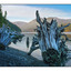 Comox Lake 2012 5 - Landscapes
