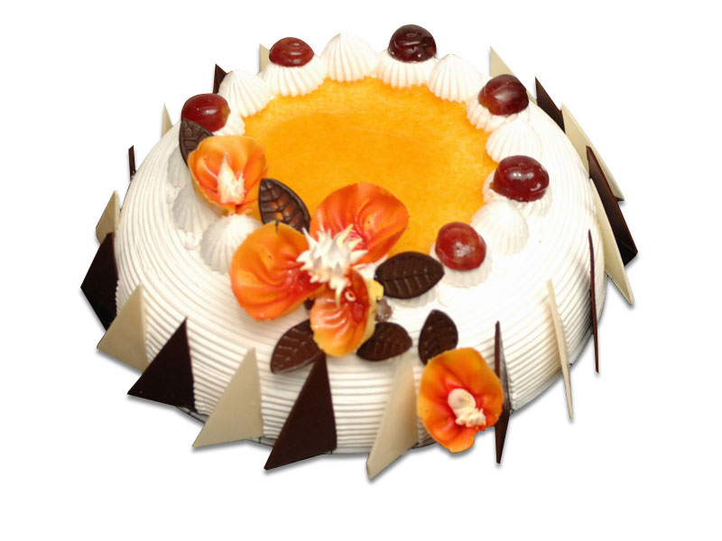 190 Grape-Orange products large - 